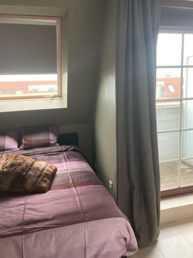 Appartement Seafox 德哈恩 外观 照片